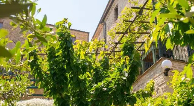 B&B Borgo Marano, Rezervovat Penzión se snídaní Cupra Marittima 