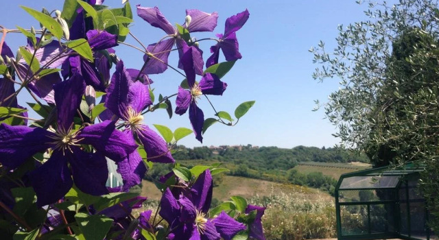 Agriturismo Biologico Antico Uliveto, Забронировать Отель Монтериджони Кьянти