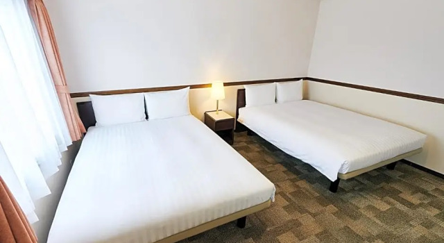 Номер Deluxe Toyoko Inn Osaka Itami Airport