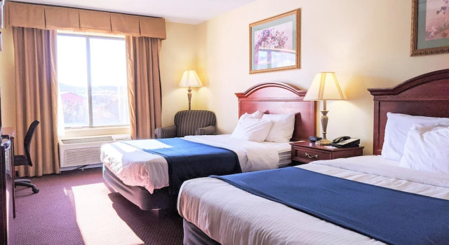 Номер Standard Stay USA Hotel and Suites