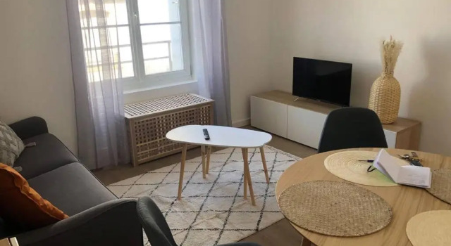 Апартаменты LAENNEC/ apprt 1 ch chaleureux/ proche centre-ville/ bus et tram à côté/ Saint-Martin