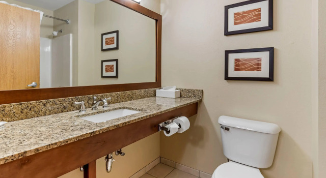 Двухместный люкс Comfort Inn & Suites East Moline near I-80