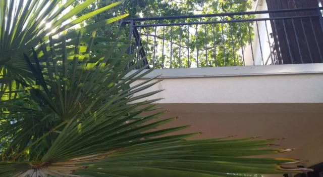Villa Bianca Karin