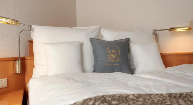 Одноместный номер Economy Hotel Haus Duden
