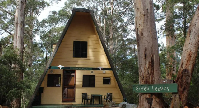 Коттедж с 3 комнатами Green Leaves Cabin