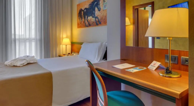 Одноместный номер Hotel Raffaello