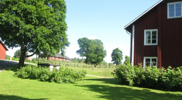 Номер Standard Sikfors Herrgård