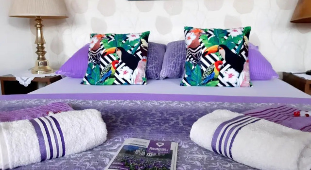 Четырёхместный номер Standard с балконом Hostel Pansion Lion