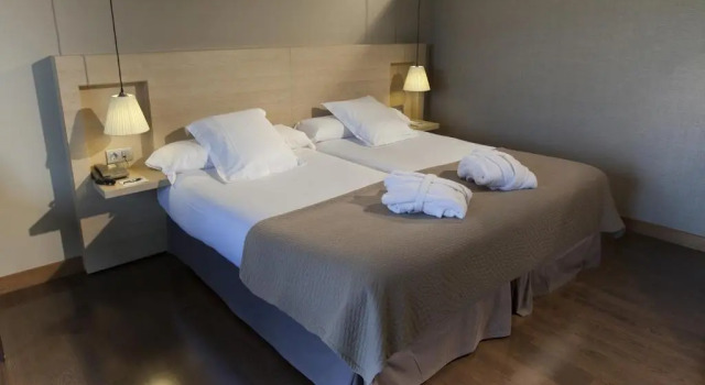Двухместный номер Standard Hotel Spa Attica21 Vilalba