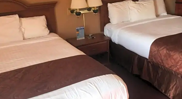 Четырёхместный номер Standard Shamrock Motel