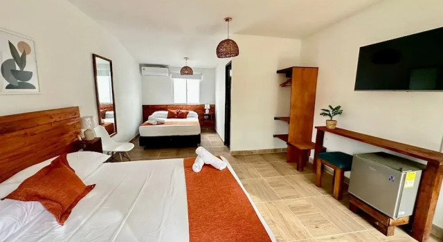 eco hotel palma É coco
