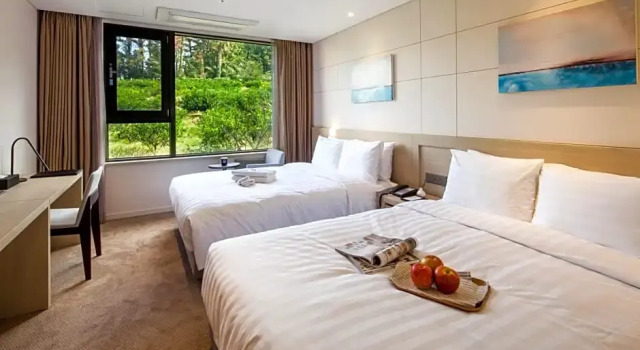 Семейный номер Deluxe Hotel The Born Jeju