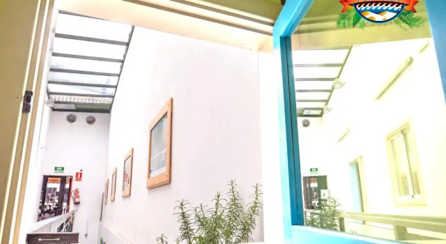 Pura Vida Las Palmas, Prenota Hotel Hotel economici a Gran Canaria