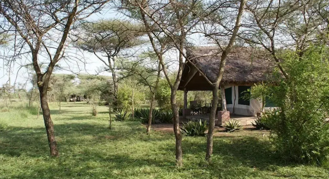 Тент с видом на сад Ikoma tented Camp