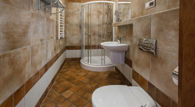 Одноместный номер Standard Hotel Zalesie