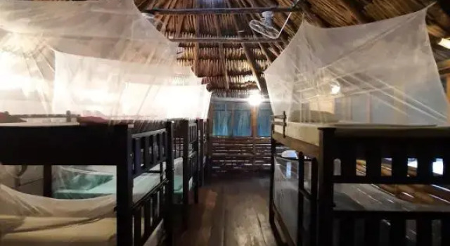 Кровать в общем номере Tiki Hut Hostel