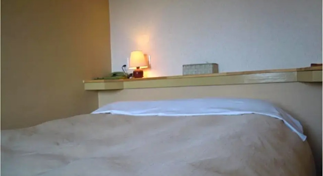 Двухместный номер Economy Niigata Park Hotel