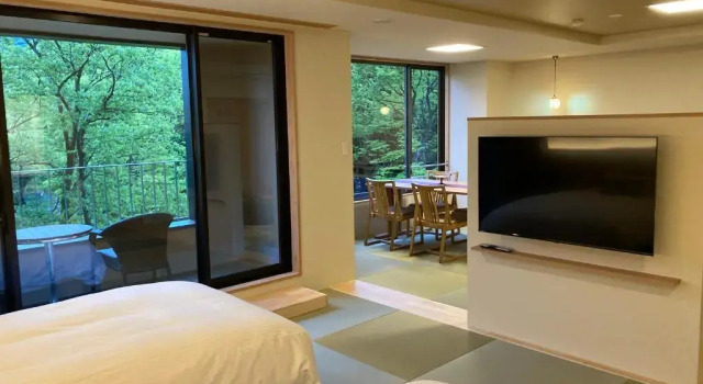 Люкс с видом на горы Hotel Park