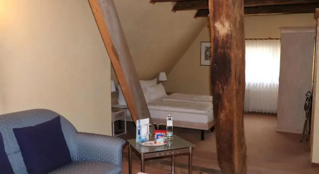Люкс Hotel Arminius