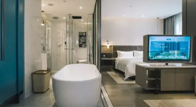 Люкс Deluxe MasTer Hotel