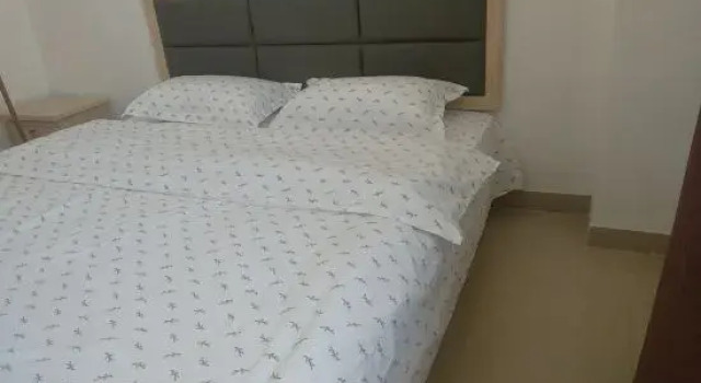 Люкс Comfort Ruidu Apartment (Chihu Manchang Road)