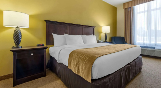 Двухместный номер Standard Comfort Inn & Suites Dover