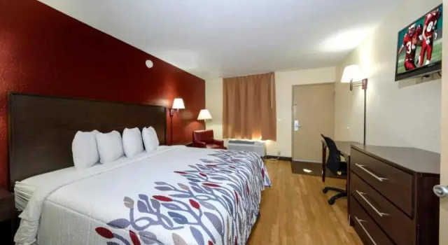 Номер Standard Red Roof Inn Ft Myers