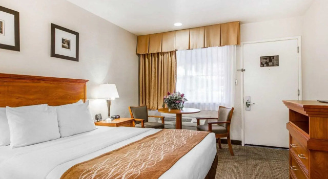 Номер Standard The Inn at 1252 Monterey
