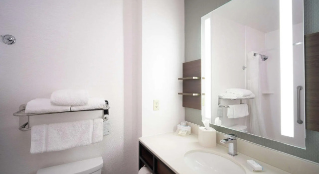 Четырёхместный номер Standard Hilton Garden Inn Evansville