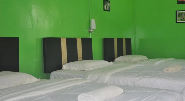 Sukau Greenview Lodge, Book Bed and Breakfast Sukau Sabah