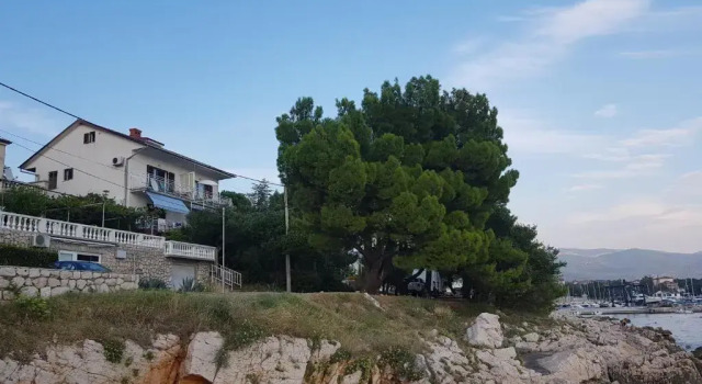 Апартаменты Apartments Jenny