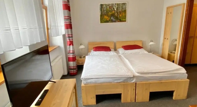 Двухместный номер Standard Hotel Praděd Thamm