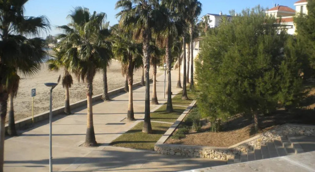 Апартаменты Apartment San Carlos