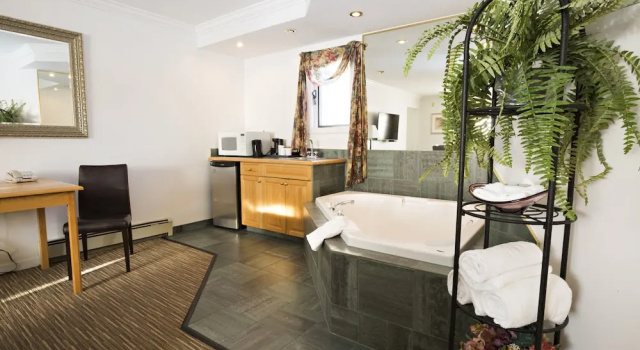 Двухместный люкс Deluxe Tower Inn & Suites