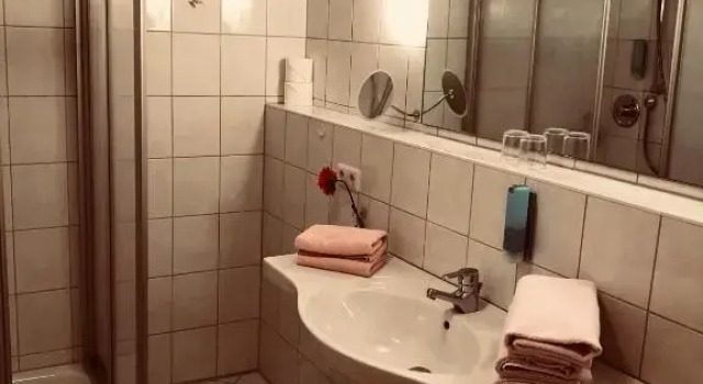 Номер Standard hotel zentlinde