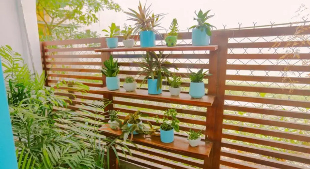 Номер Standard Tò Vò Hostel Huế