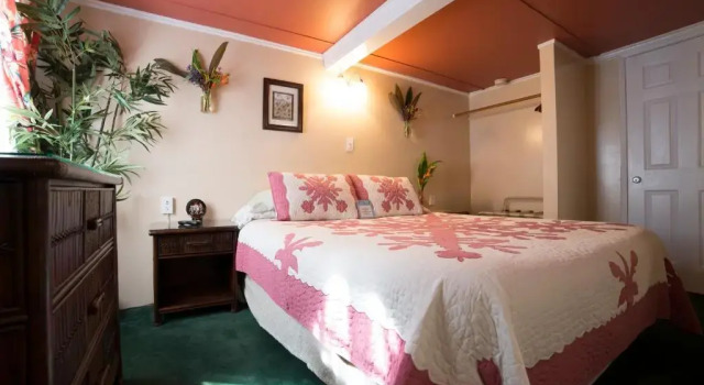 Студия Wailuku Guesthouse