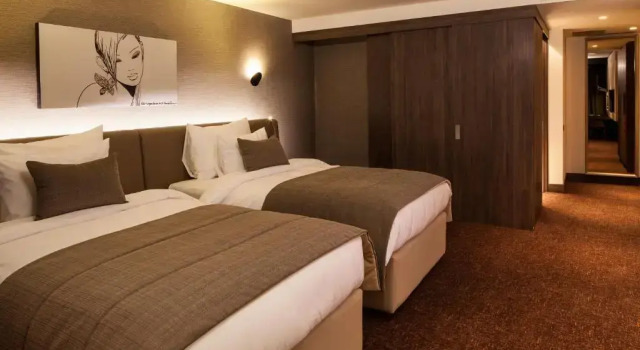 Двухместный номер Executive Kronwell Brasov Hotel