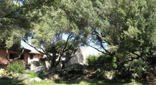 Villa nel Parco