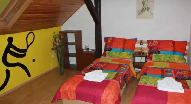 Двухместный номер Standard Bed & Breakfast Penzion Brno