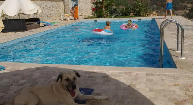 1001 Gece Tatil Eco Farm, Rezervovat Farmářský pobyt Hotely v Mugla s parkováním, Parkování