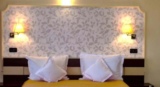 Standard Double room Hotel President