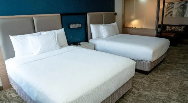 Четырёхместный люкс Standard SpringHill Suites by Marriott Woodbridge