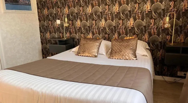 Двухместный номер Superior Hotel Alpes Cevennes