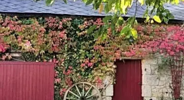 Au Pied Du Tilleul, Réserver Hôtel Gennes-Val-de-Loire Maine-et-Loire