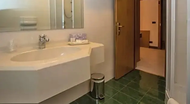 Трёхместный номер Standard New Petit Hotel