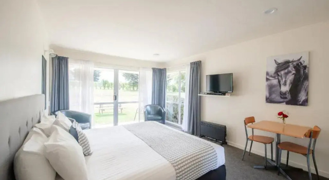 Студия Lake Dunstan Motel