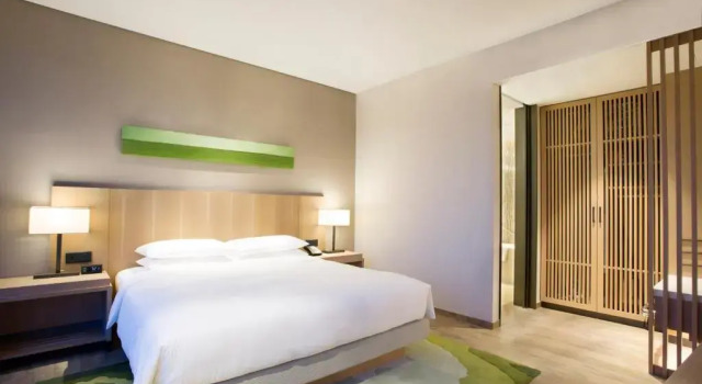 Двухместный люкс Hyatt Place Sanya City Center