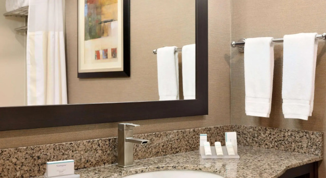 Двухместный номер Accessible Hilton Garden Inn Houston NW America Plaza