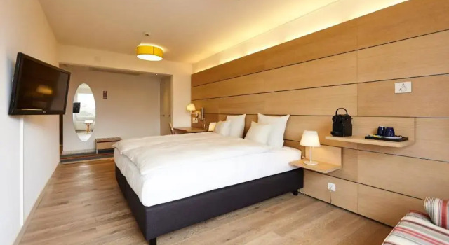 Двухместный номер Large Steinenschanze Charming City & Garden Hotel